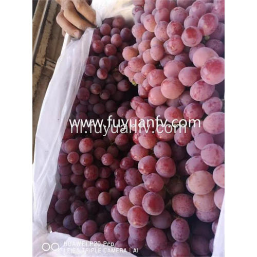 2019 nieuwe oogst rode druif met goede prijs